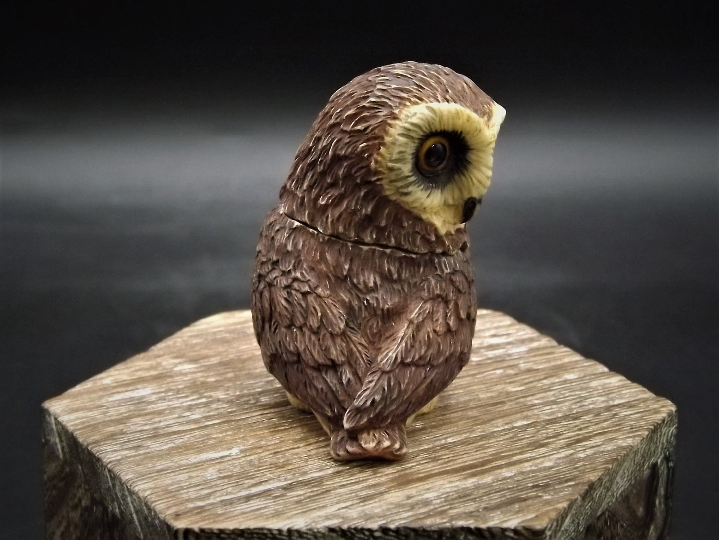 Harmony Kingdom Pot Bellys "Saw-Whet" Owl Figurine with original box and COA. Excellent condition!