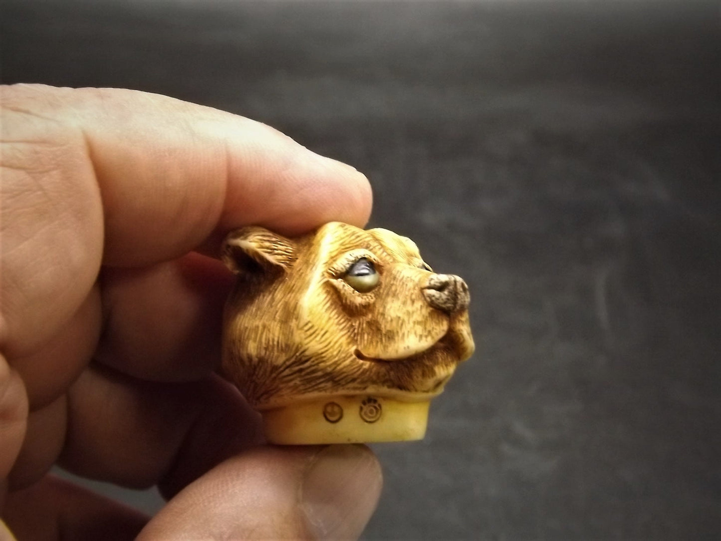 Harmony Kingdom Pot Bellys "Cubby" Bear Figurine with original box and COA. Excellent condition!