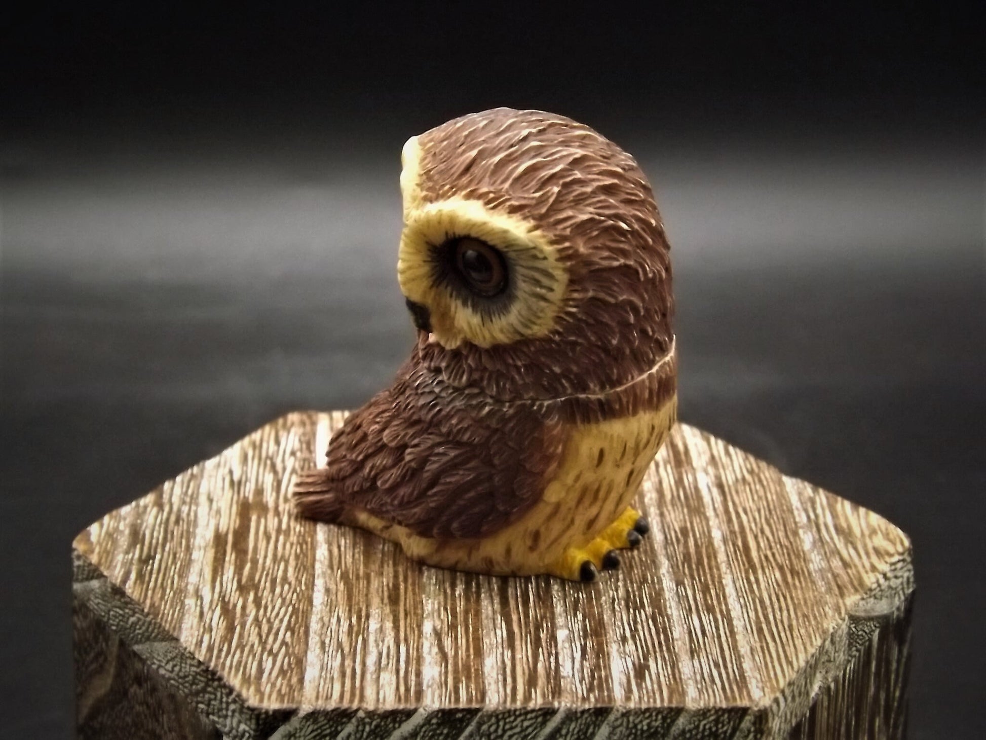 Harmony Kingdom Pot Bellys "Saw-Whet" Owl Figurine with original box and COA. Excellent condition!