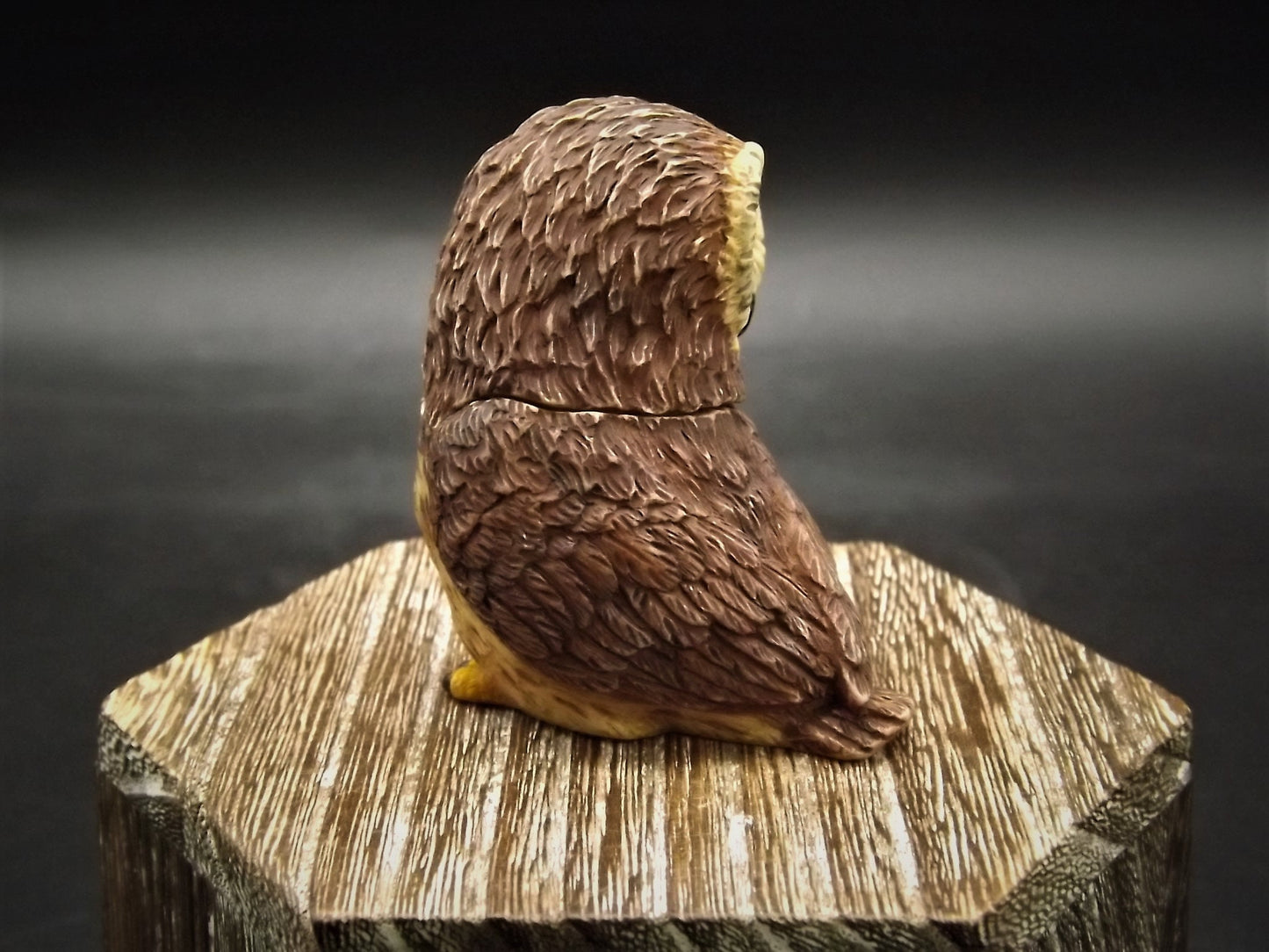 Harmony Kingdom Pot Bellys "Saw-Whet" Owl Figurine with original box and COA. Excellent condition!