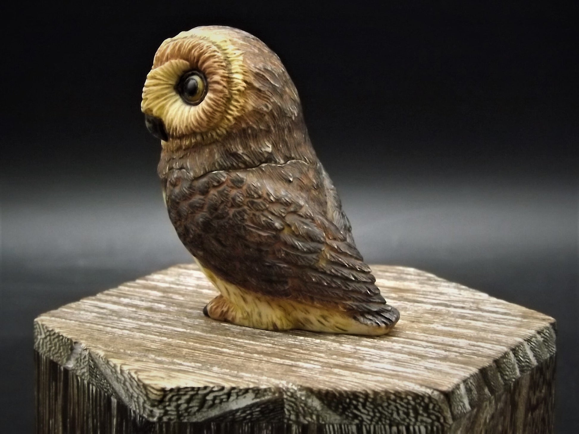 Harmony Kingdom Pot Bellys "Short Ear" Owl Figurine with original box and COA. Excellent condition!