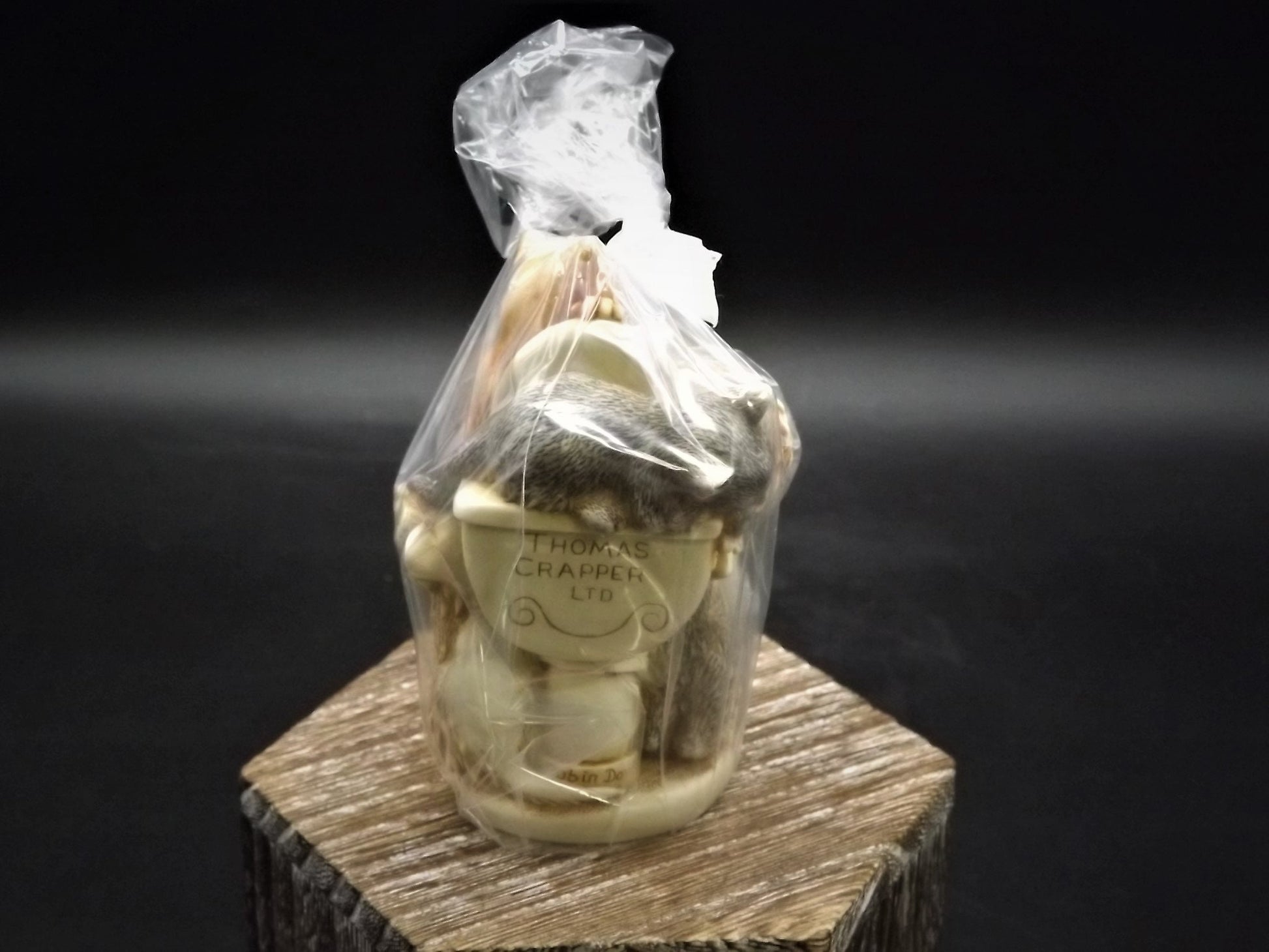 Vintage 2001 Harmony Kingdom "Potty Time Infinity" Jest Figurine TJCA15 with original box and COA. Never unwrapped excellent condition.