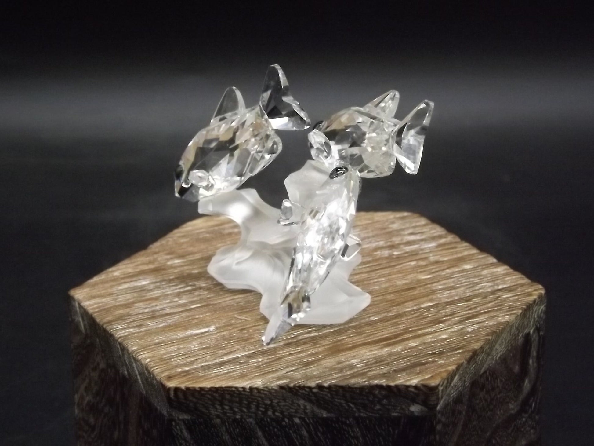 Vintage Swarovski Crystal South Seas Fish Figurine SCS 1993