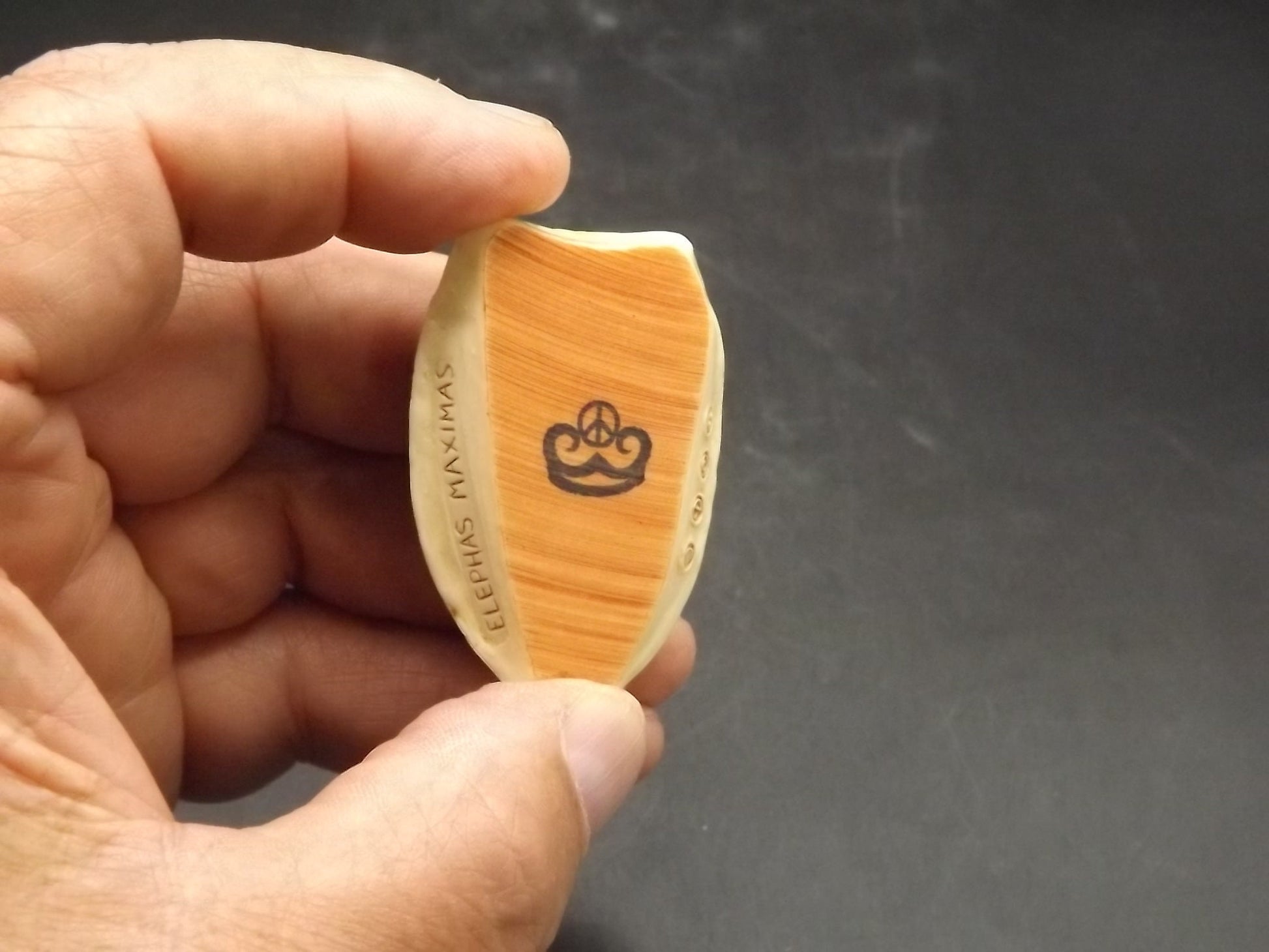 Retired Harmony Kingdom Haji's Hero Elephant Figurine - 2001 Royal Watch