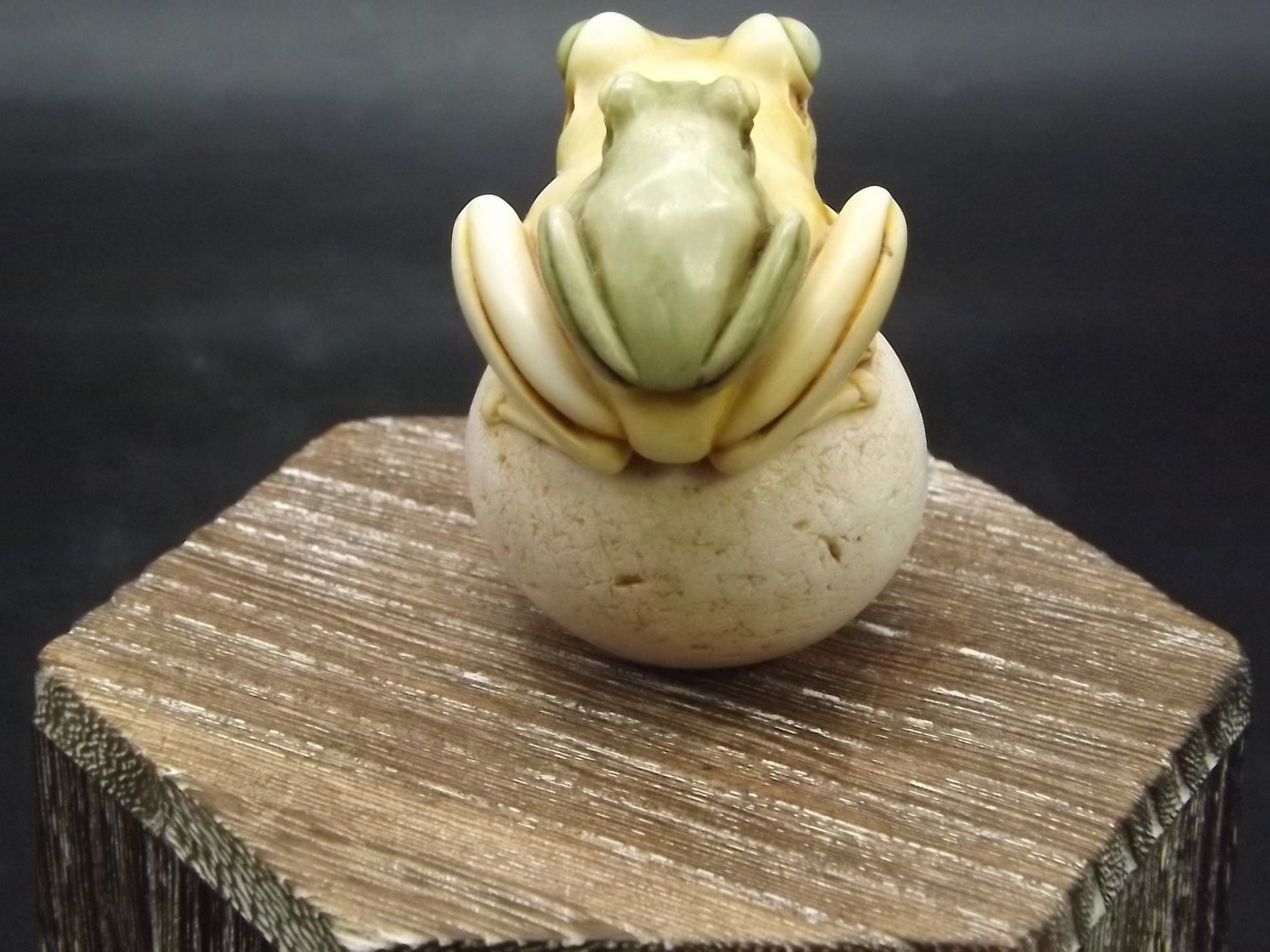 Adam Binder Netsuke series "S. Leapfrog". With original box and COA. Excellent shape limited edition #21/150.