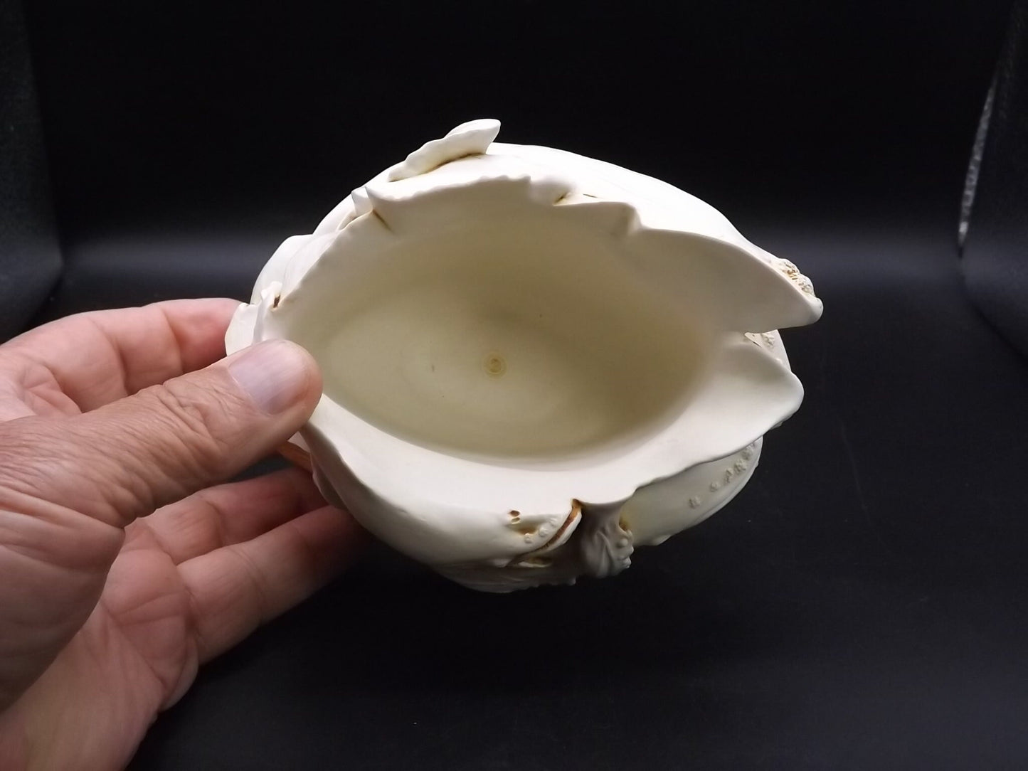 Retired Harmony Kingdom "Big Blue" treasure Jest Royal Watch 1997 with original box. Rare Special Order Only not for retail sale piece.