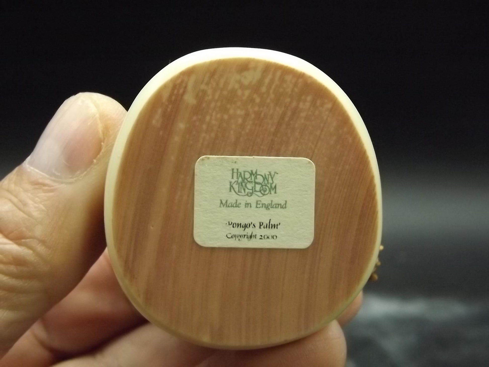 Retired 2000 Harmony Kingdom "Pongo's Palm" piece Excellent condition with original box and COA.