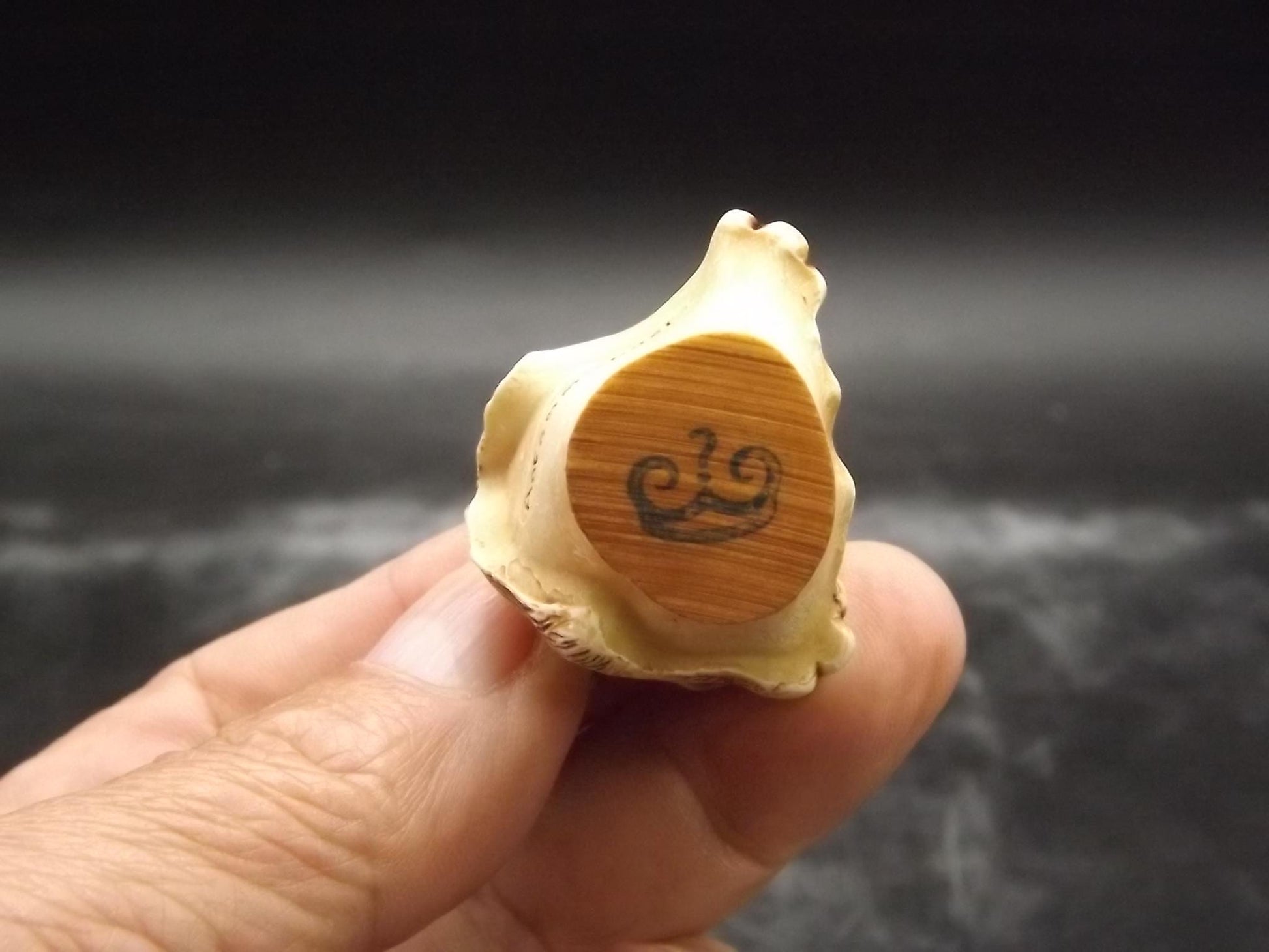 Vintage Harmony Kingdom Lion Cub Figurine: "Rough and Tumble" TJLI2