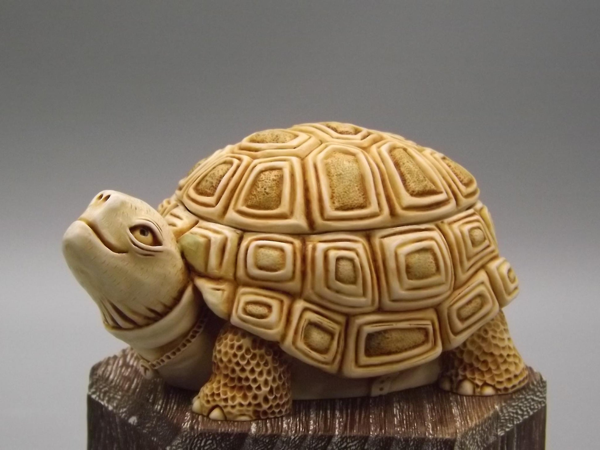 Harmony Kingdom Turtle Figurine: "One Step Ahead" Box, 1994