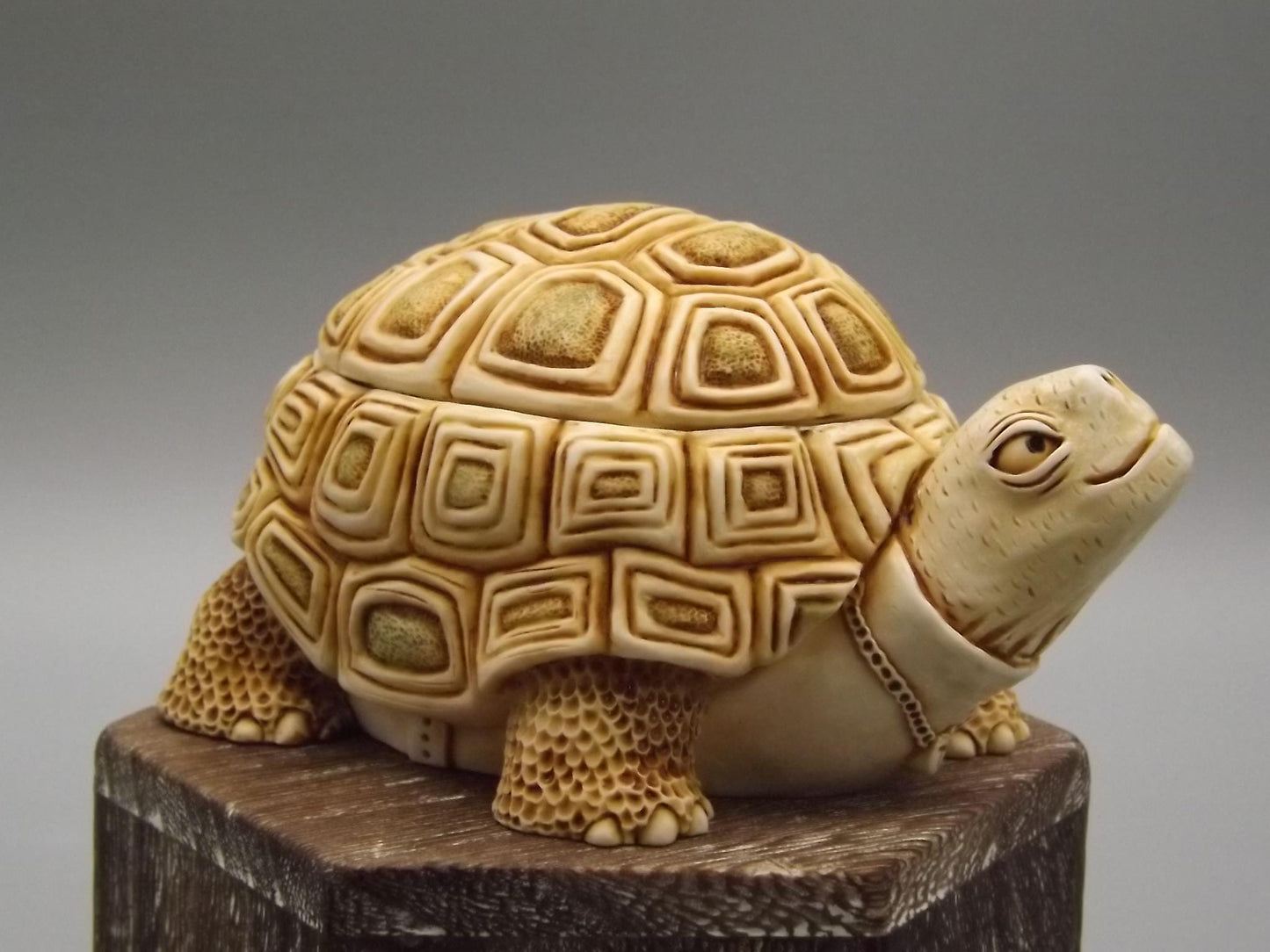 Harmony Kingdom Turtle Figurine: "One Step Ahead" Box, 1994