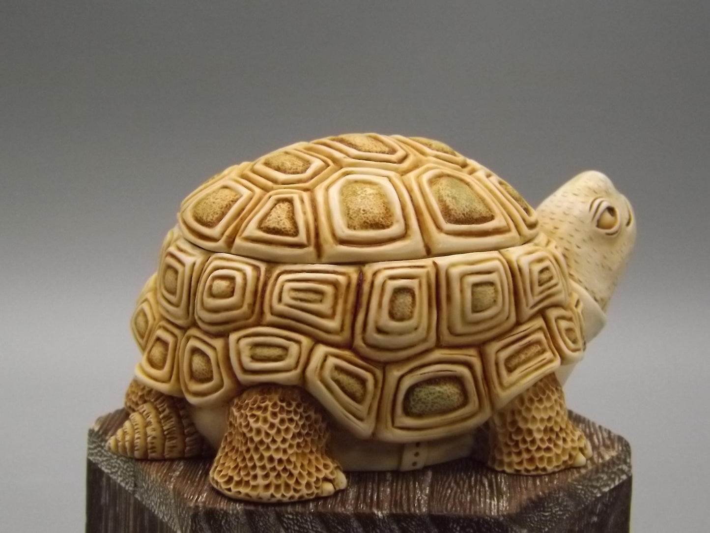 Harmony Kingdom Turtle Figurine: "One Step Ahead" Box, 1994