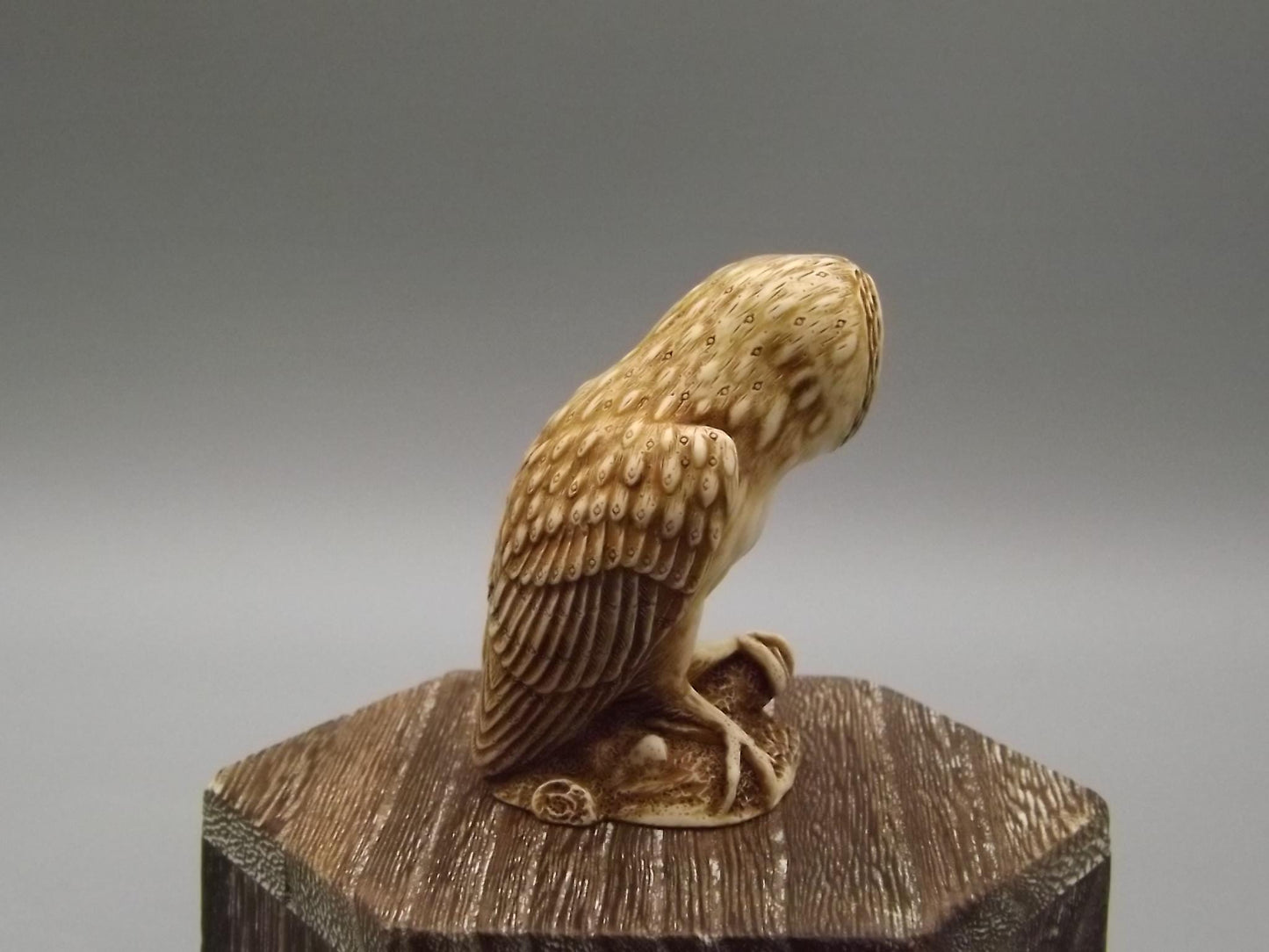 Harmony Kingdom 1999 "Ollie" Netsuke Owl Figurine TJNOW with original box and COA. Excellent condition.