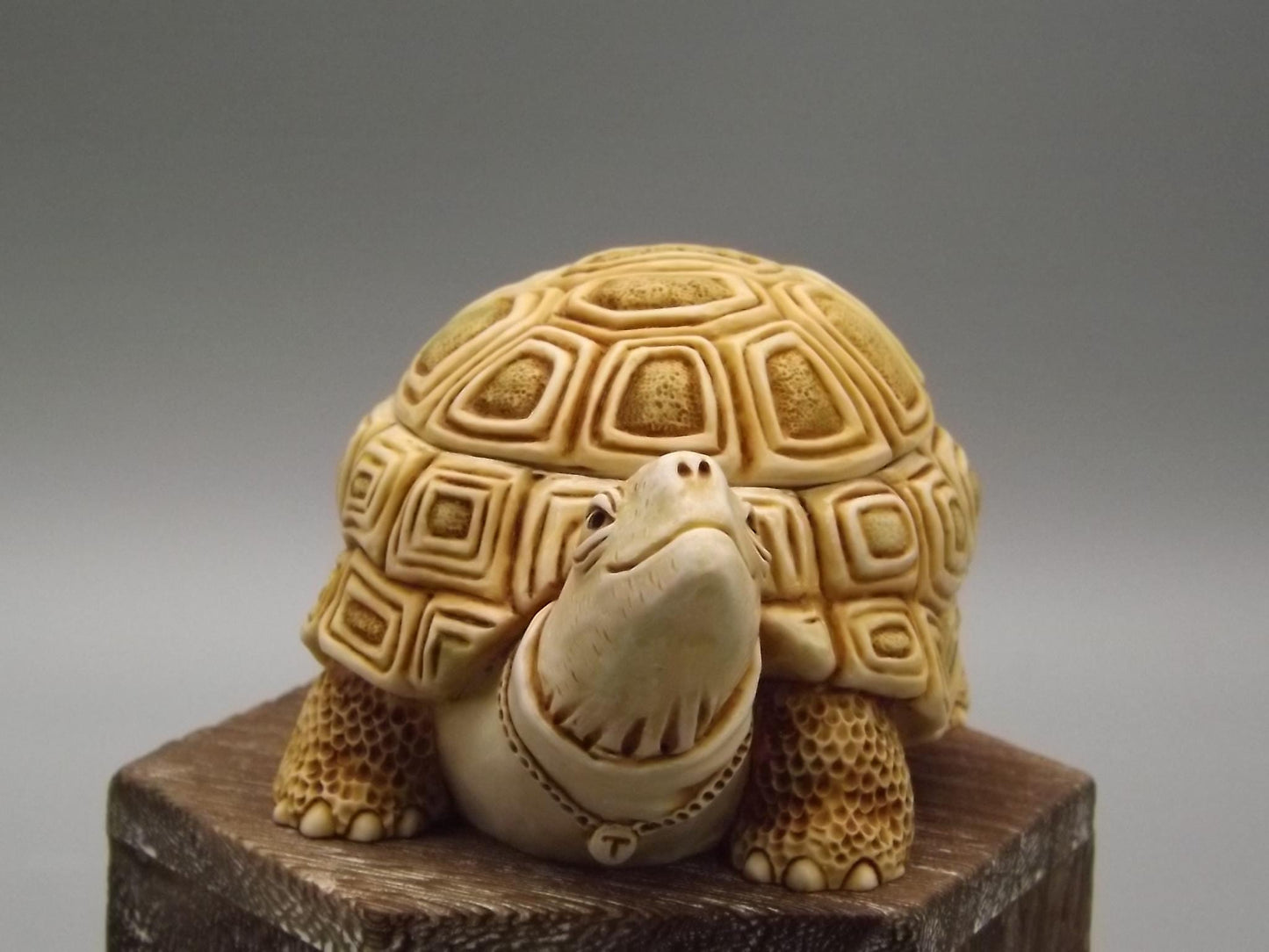 Harmony Kingdom Turtle Figurine: "One Step Ahead" Box, 1994