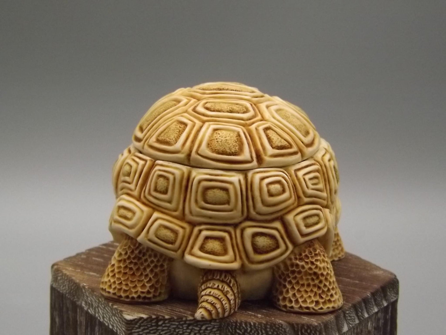 Harmony Kingdom Turtle Figurine: "One Step Ahead" Box, 1994