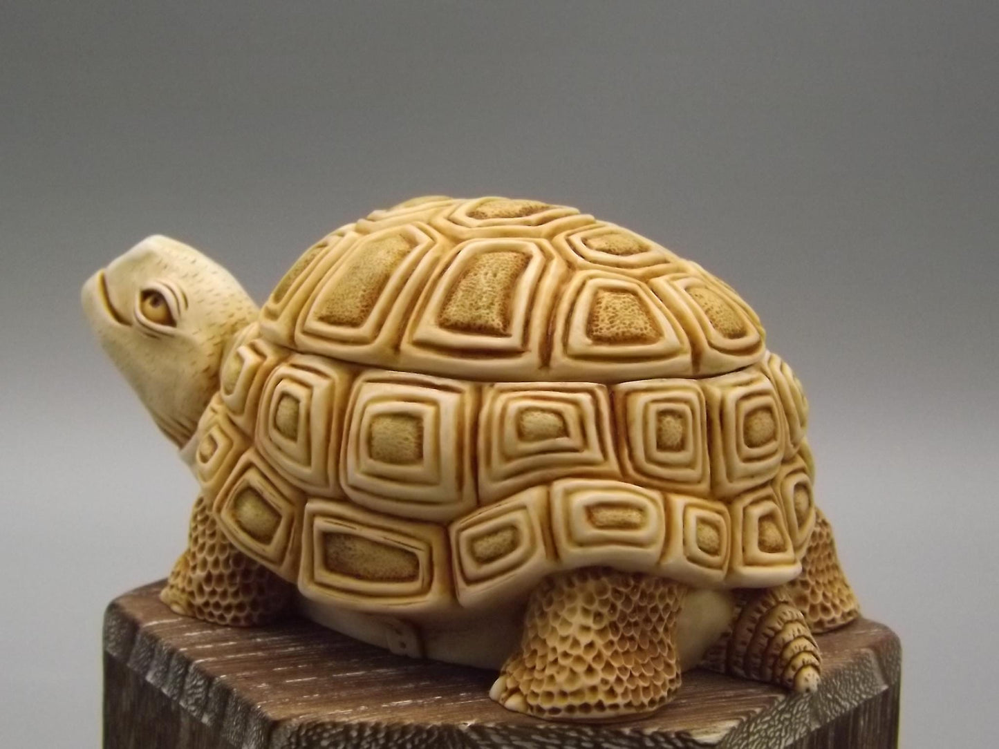 Harmony Kingdom Turtle Figurine: "One Step Ahead" Box, 1994