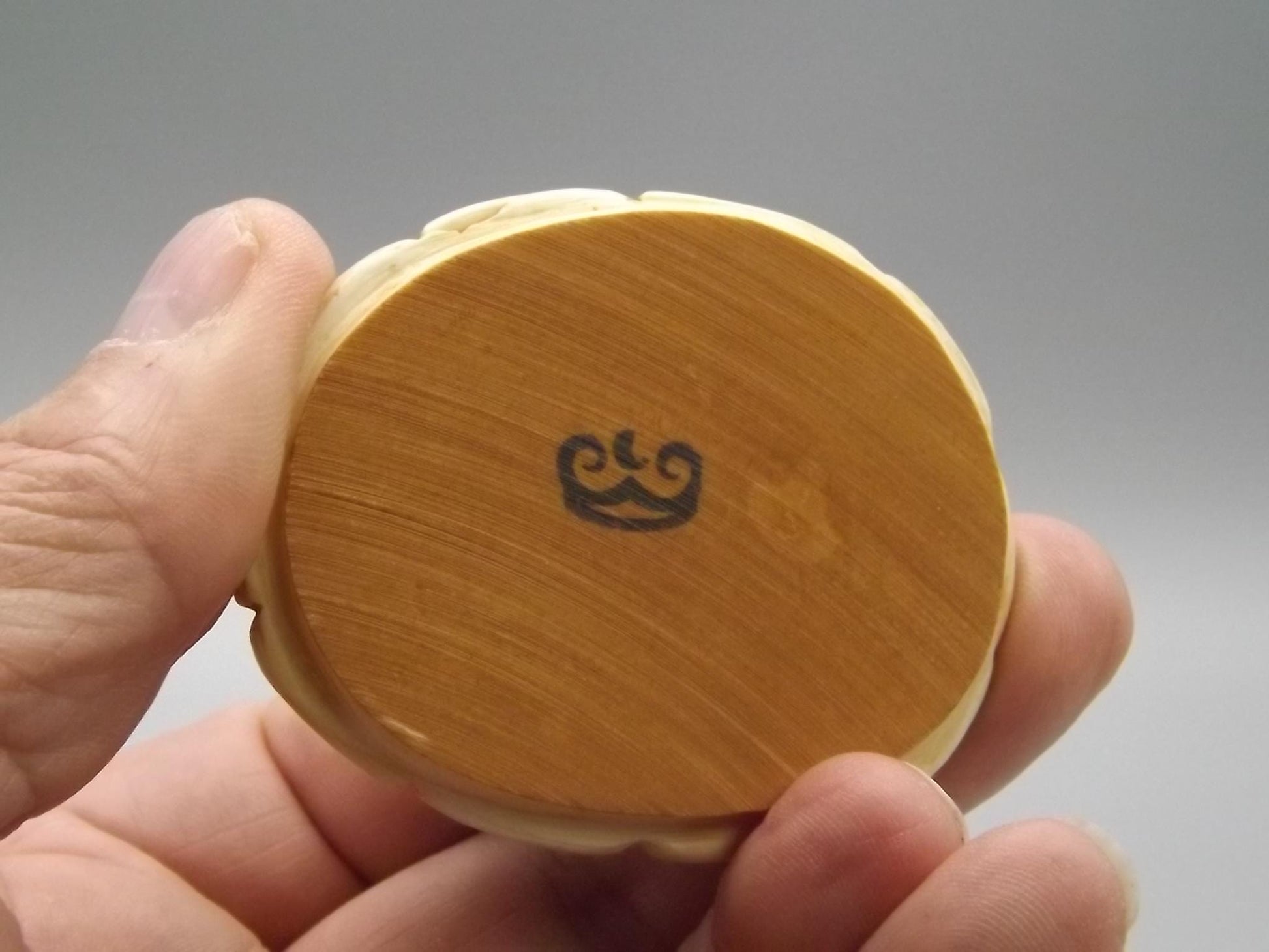 Harmony Kingdom Turtle Figurine: "One Step Ahead" Box, 1994