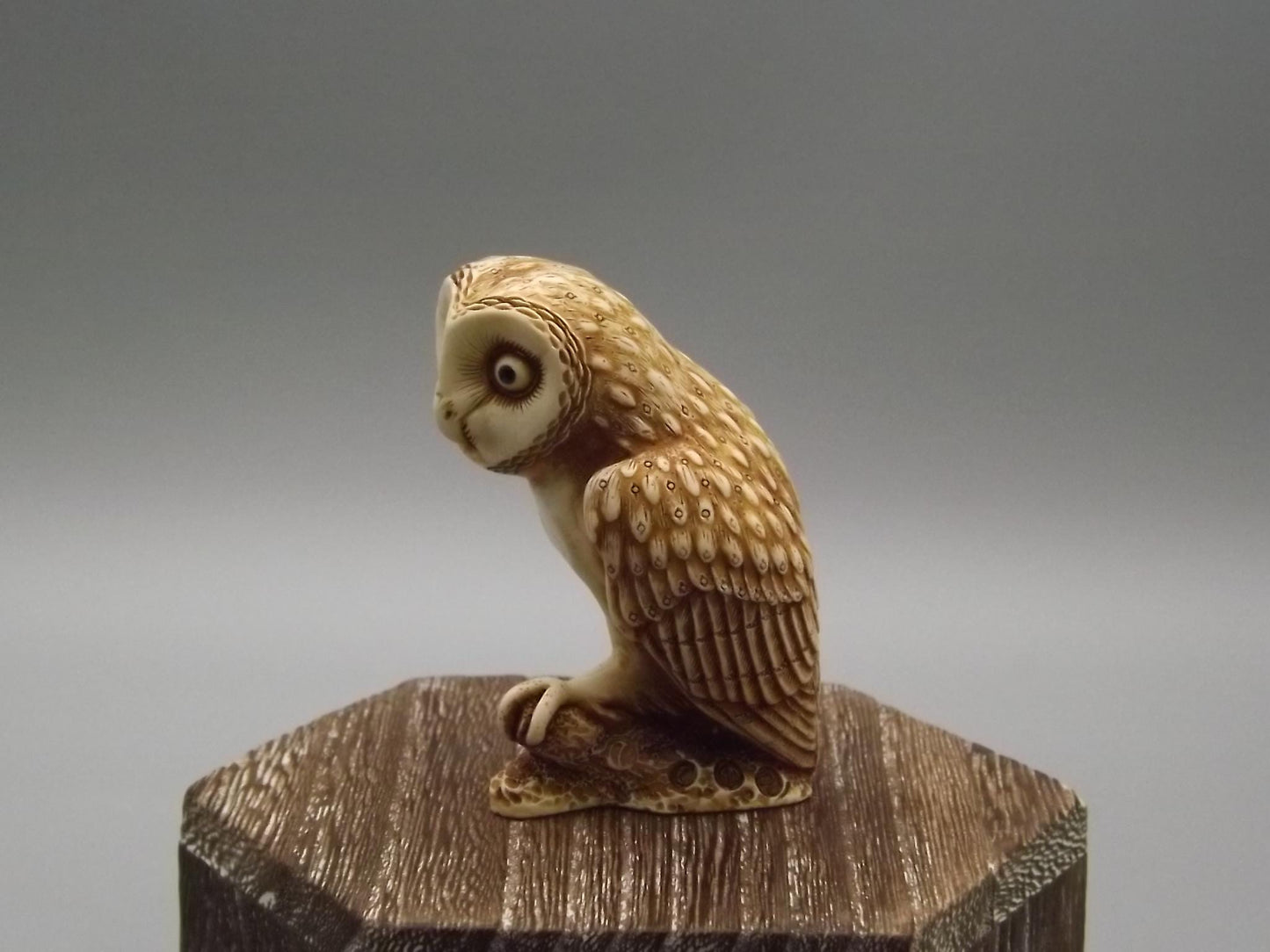 Harmony Kingdom 1999 "Ollie" Netsuke Owl Figurine TJNOW with original box and COA. Excellent condition.