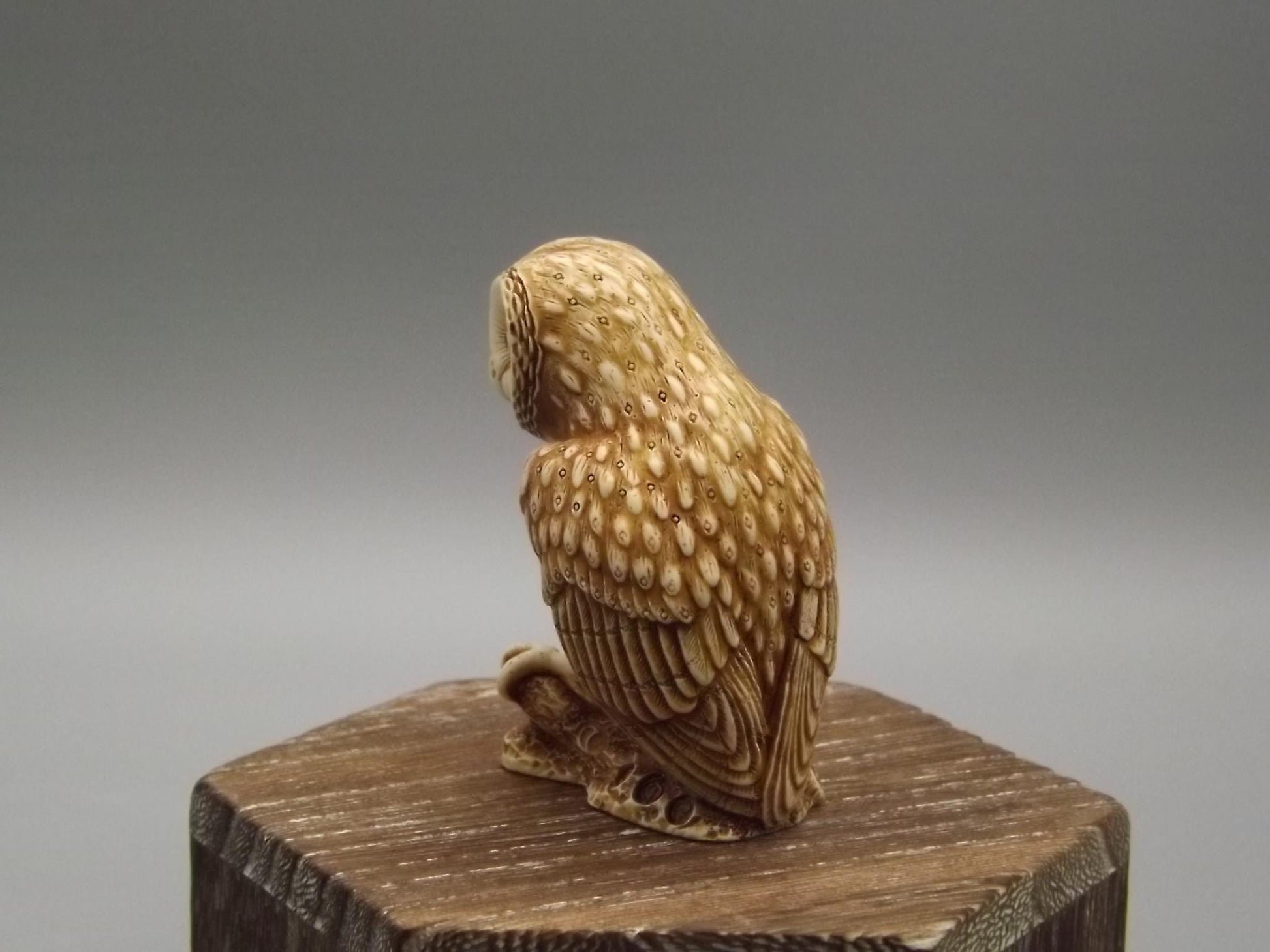 Harmony Kingdom 1999 "Ollie" Netsuke Owl Figurine TJNOW with original box and COA. Excellent condition.
