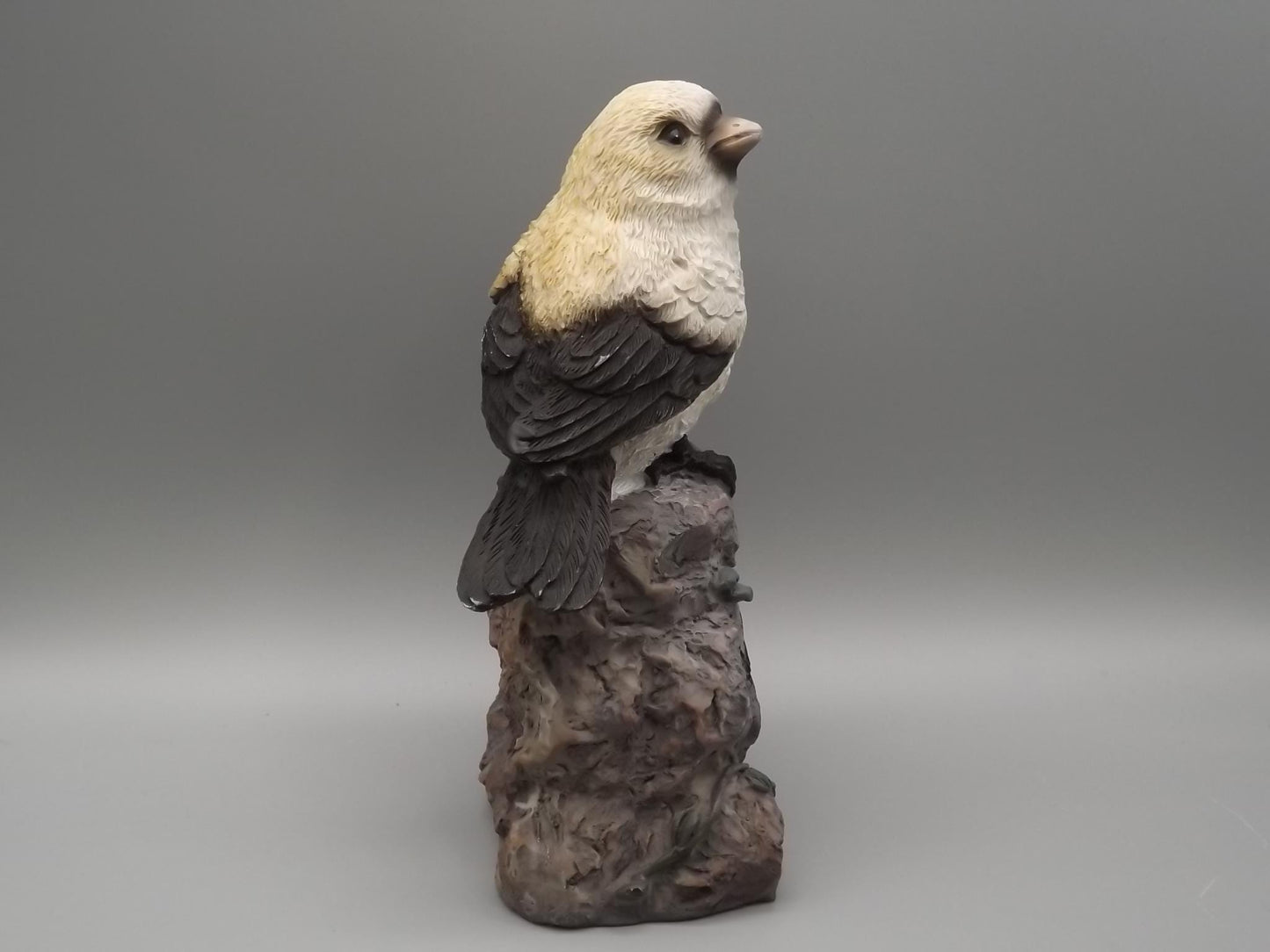 Bird Figurine on Welcome Sign: Black and White Feathered Friend Gift