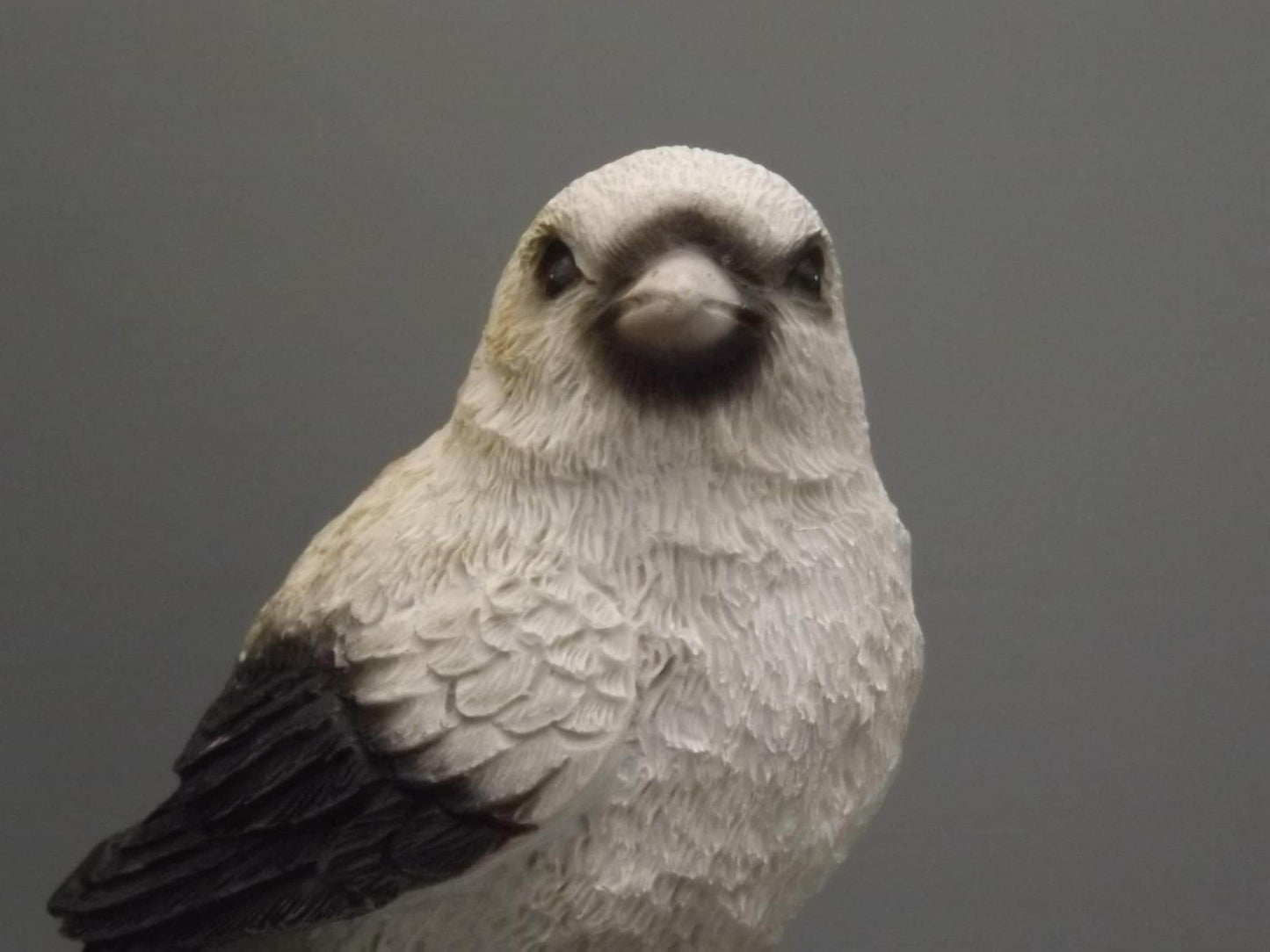 Bird Figurine on Welcome Sign: Black and White Feathered Friend Gift