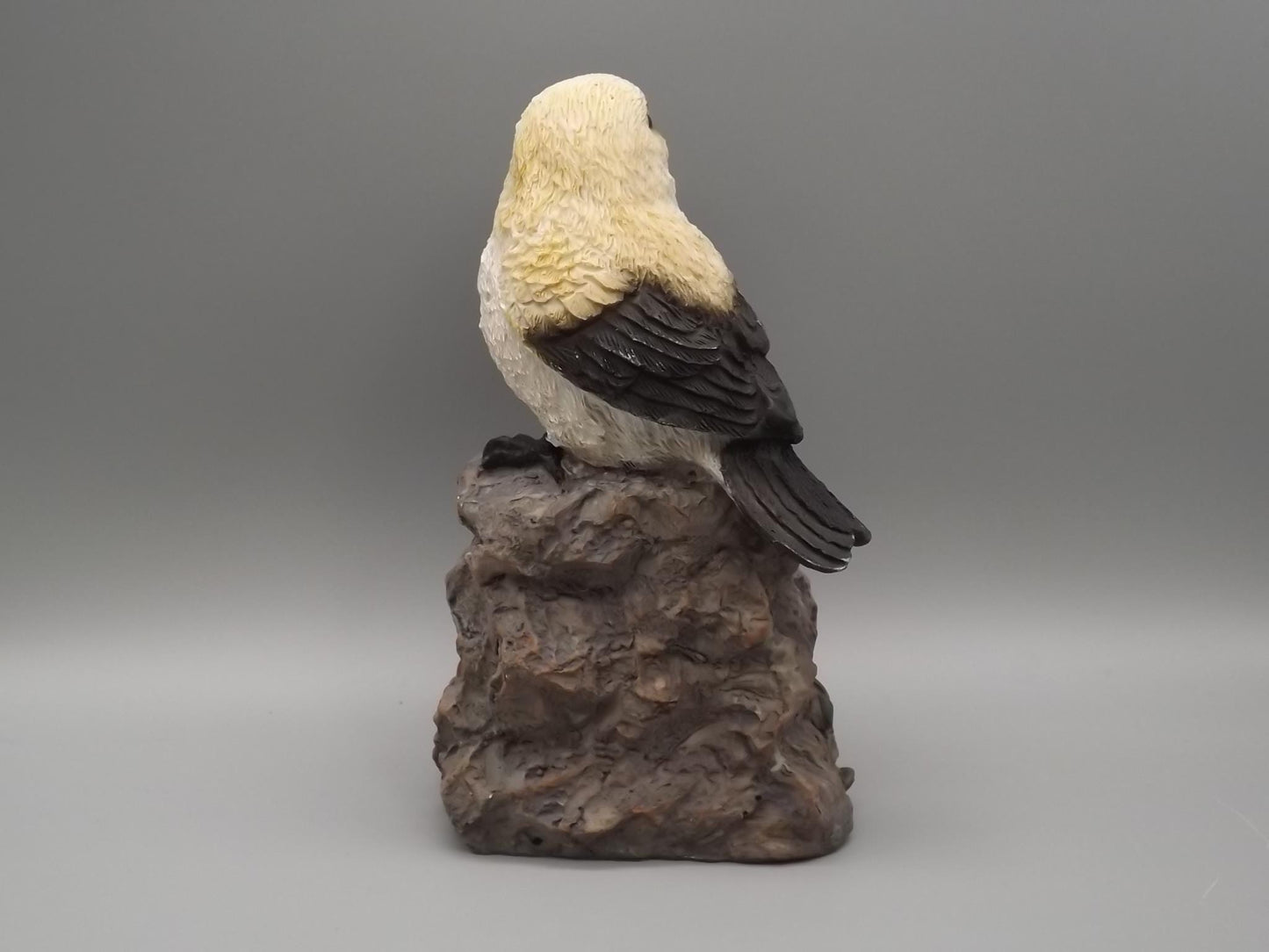 Bird Figurine on Welcome Sign: Black and White Feathered Friend Gift