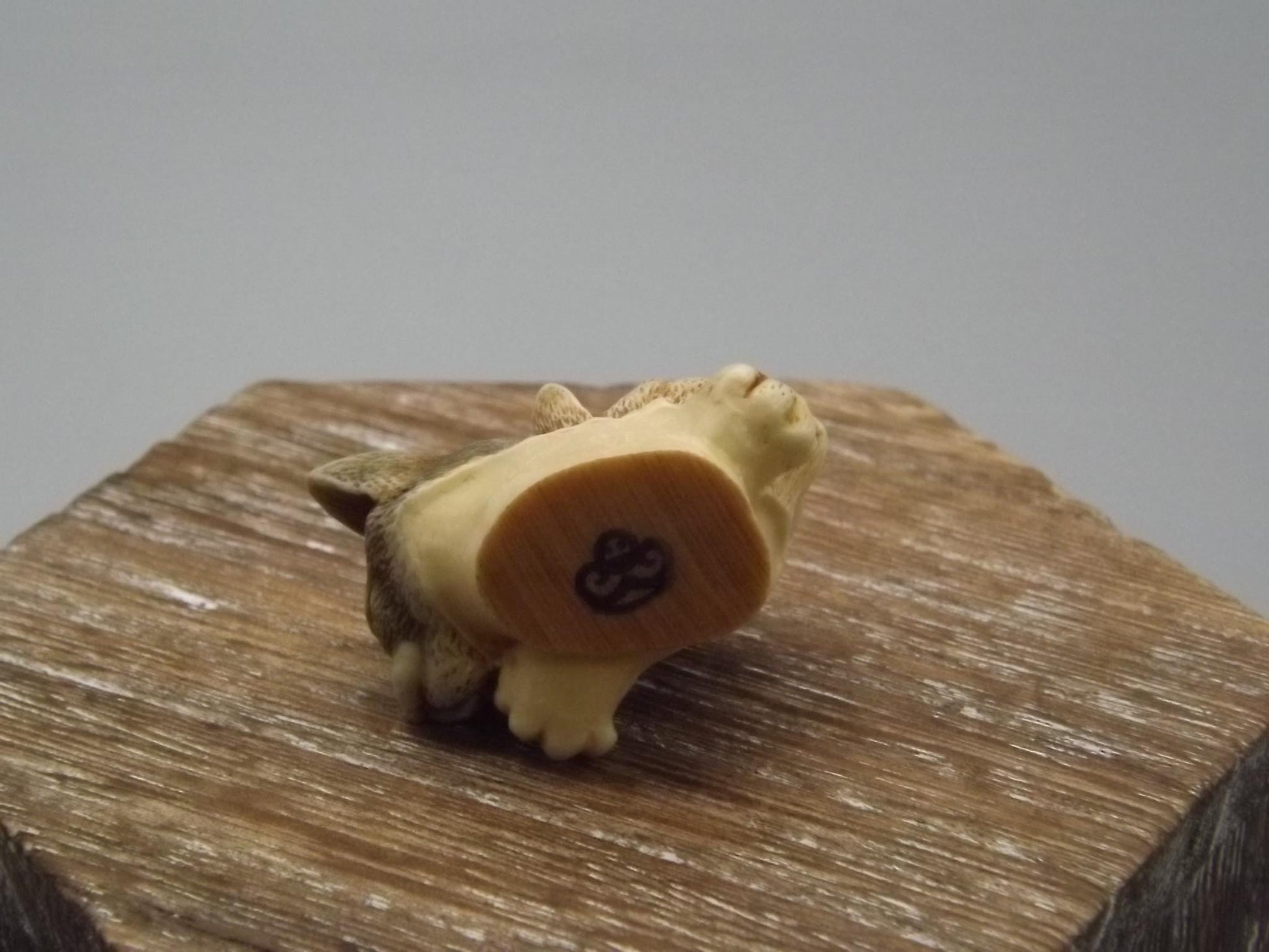 Harmony Kingdom Stuffed Shirt: Cats in UK/USA Tee, Box & COA