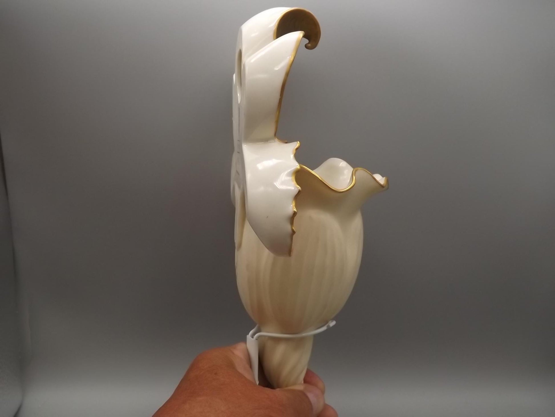 Vintage 1886 Royal Worcester Wall Pocket in excellent condition. An absolutely incredible piece. The date is verified by the markings.