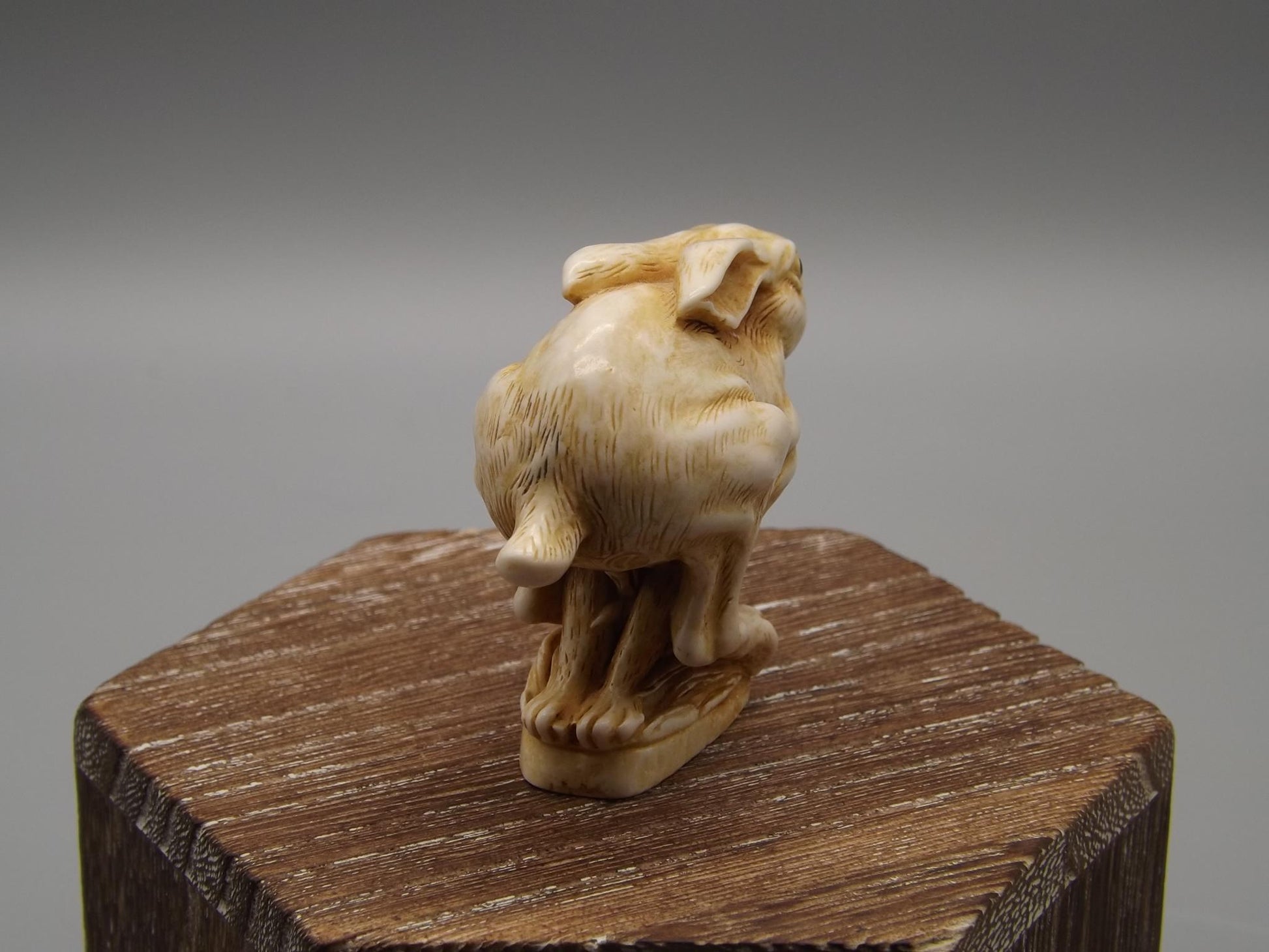 Harmony Kingdom "Harry" Netsuke Figurine with original box and COA. Excellent condition!