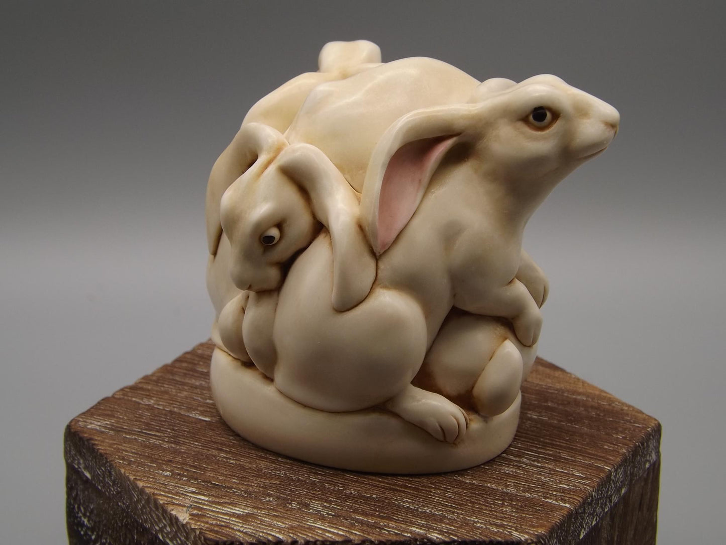 Harmony Kingdom Rabbits Figurine "Hop Till You Drop" w/ Box & COA